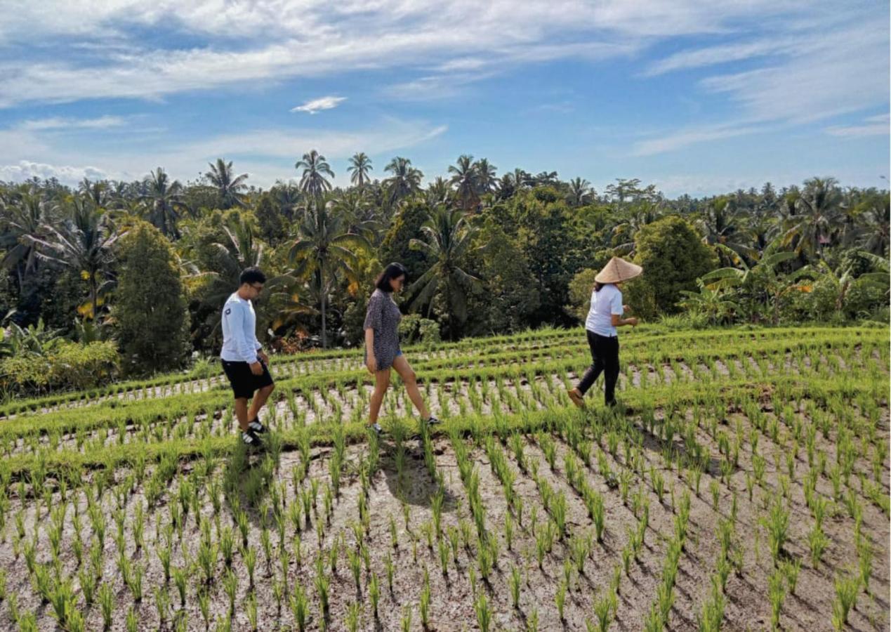 Amarta Pesagi Retreat Tabanan Villa Dış mekan fotoğraf